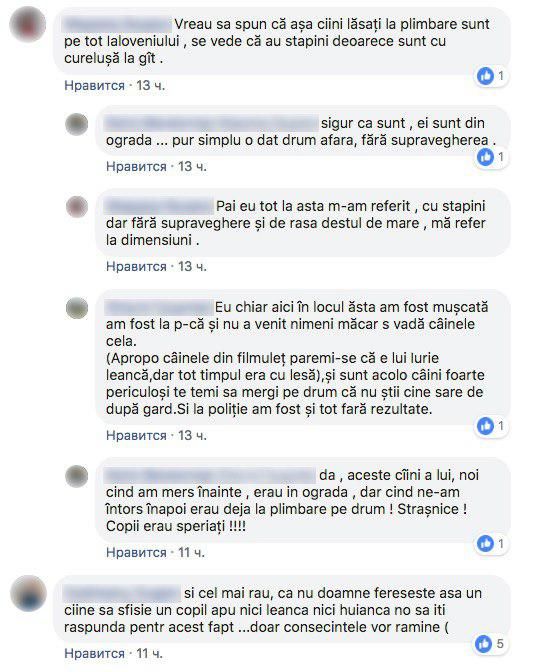 Жители Яловен жалуются на гуляющих без присмотра собак