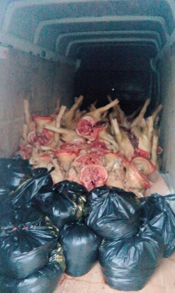 Peste 2 tone de carne și 300 kg de pește, transportate fără acte