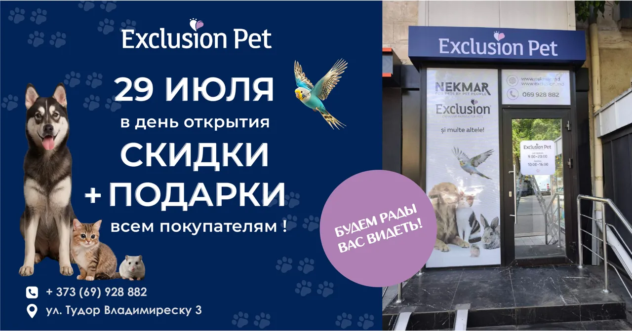 Открытие магазина Exclusion Pet в Кишиневе: товары для здоровья питомцев