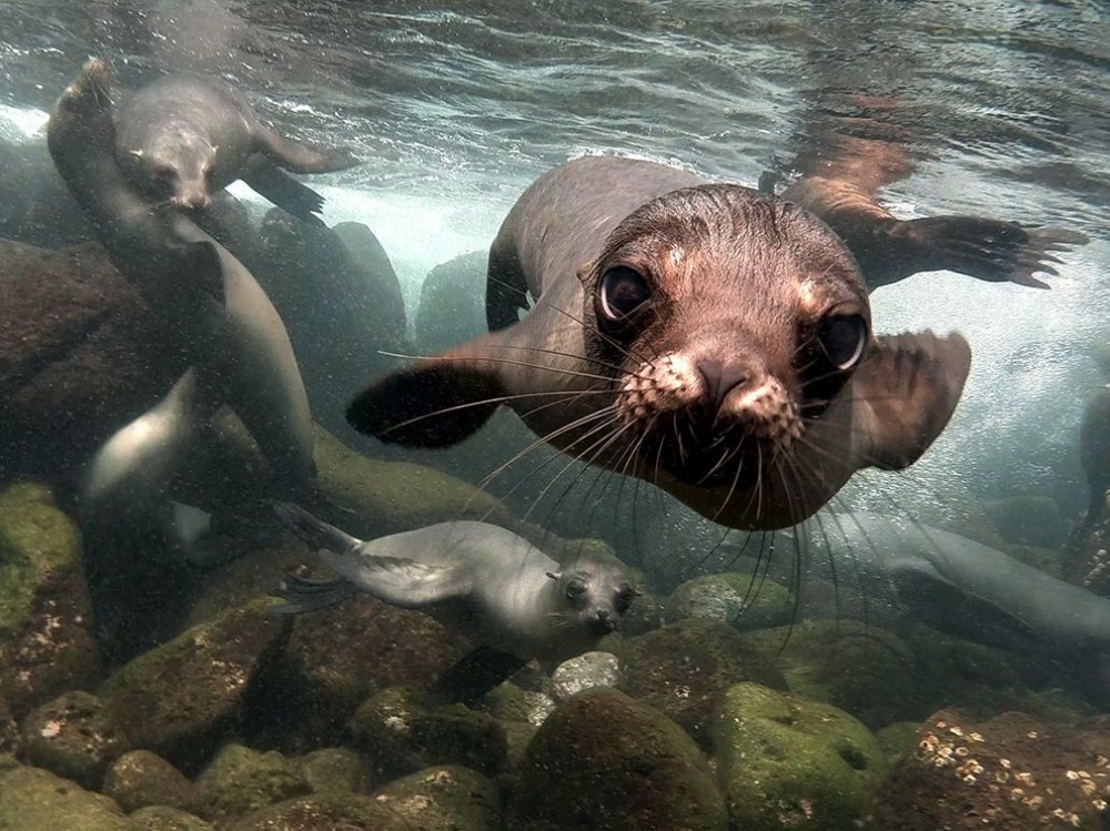 national geographic, фотосессия
