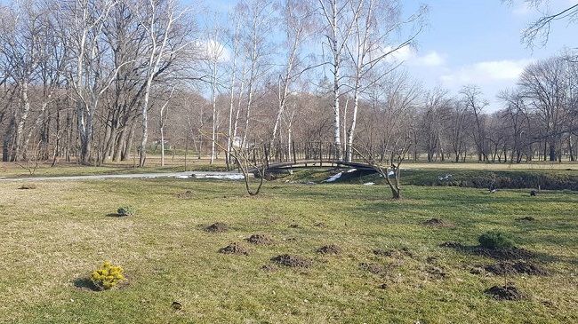 В столичном Дендрарии могут появиться система электронного входа, скейт-парк