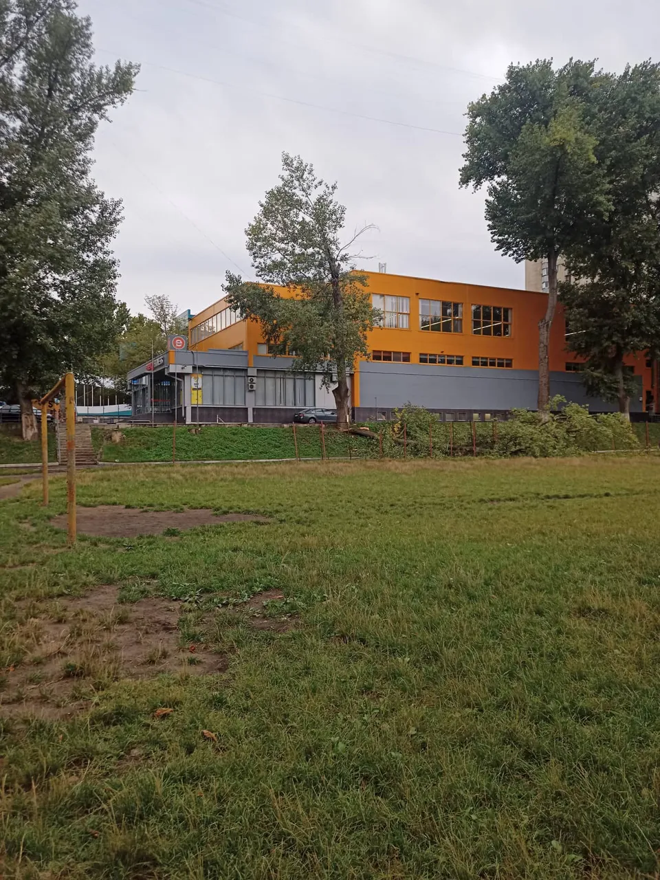 На спортплощадку одного из столичных лицеев упало дерево