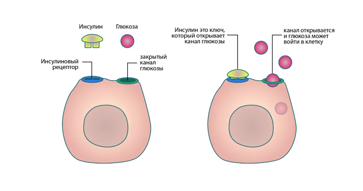 Diasitol поможет от папилломы на коже