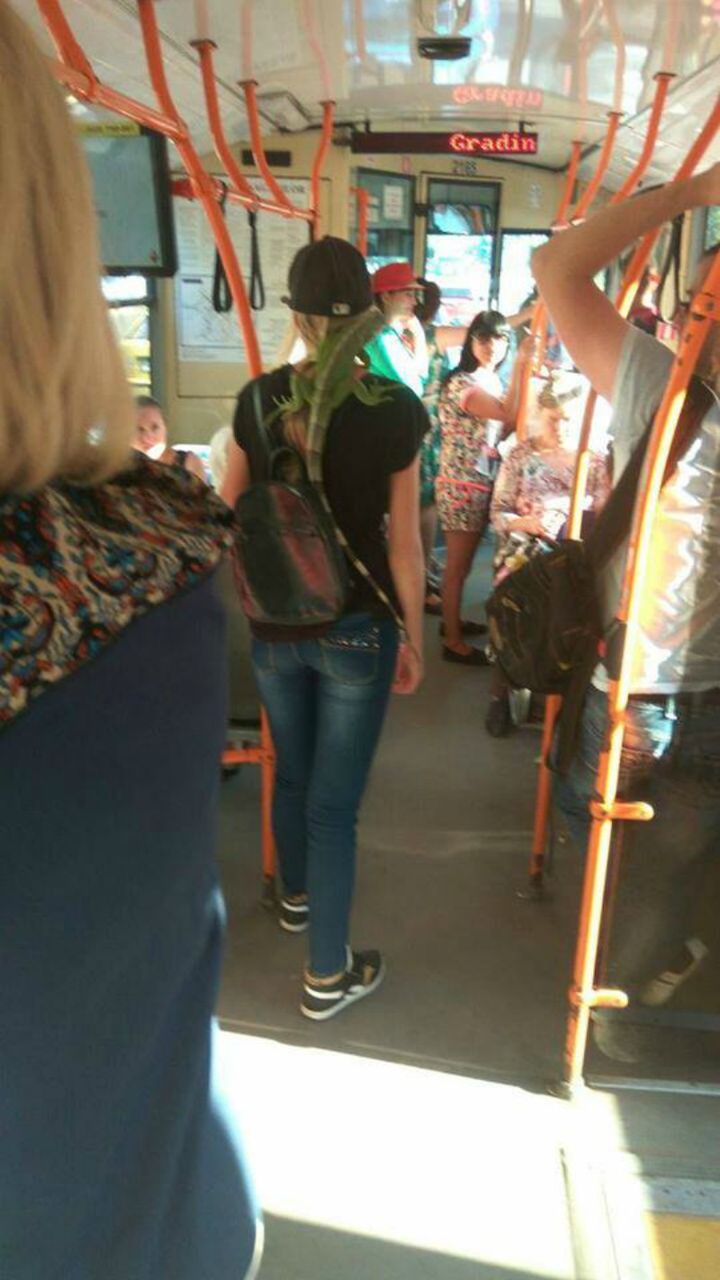Apariţie şoc în troleibuz. Toţi călătorii au întors privirile spre o tânără
