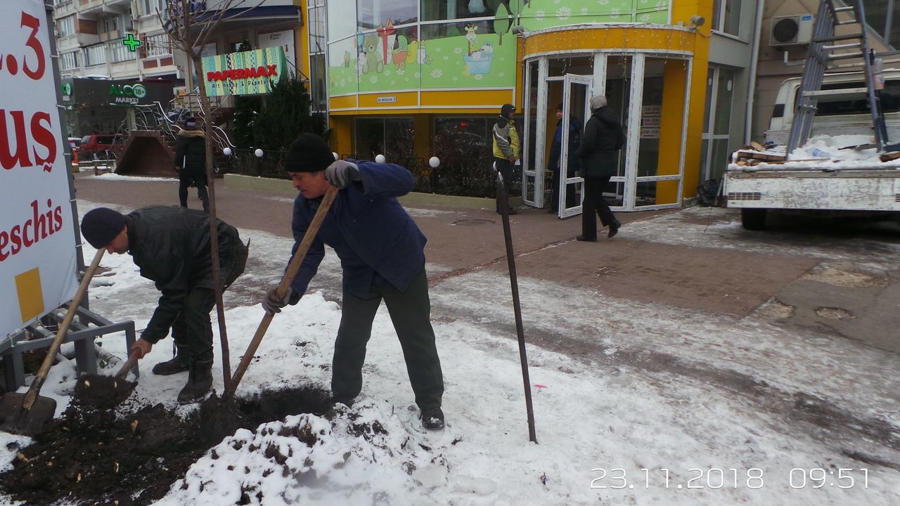На Рышкановке высадили молодые деревья