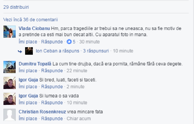Deputata Marina Radvan, cu drujba la tăiat copacii prăbușiți din Capitală