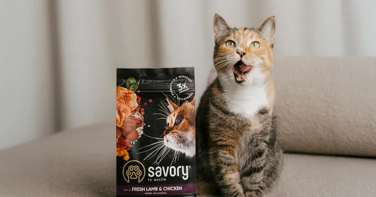 Праздник для питомцев: Savory и Pet House приглашают кишинёвцев на яркие уикенды с подарками