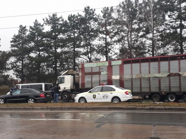 В столице переходившего в неположенном месте пешехода сбила машина
