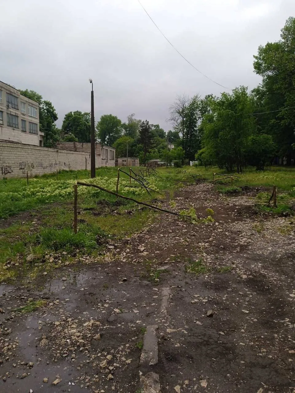 Mai multe jardiniere pentru flori, vandalizate în Parcul-pădure Râșcani