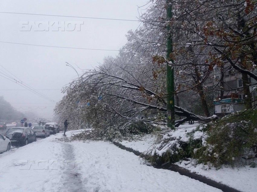 К «Воротам города» не ходят троллейбусы из-за оборванных деревьями проводов