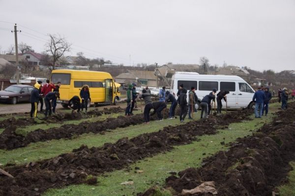 Более пяти тысяч саженцев высадили в Копчаке в рамках экологической акции