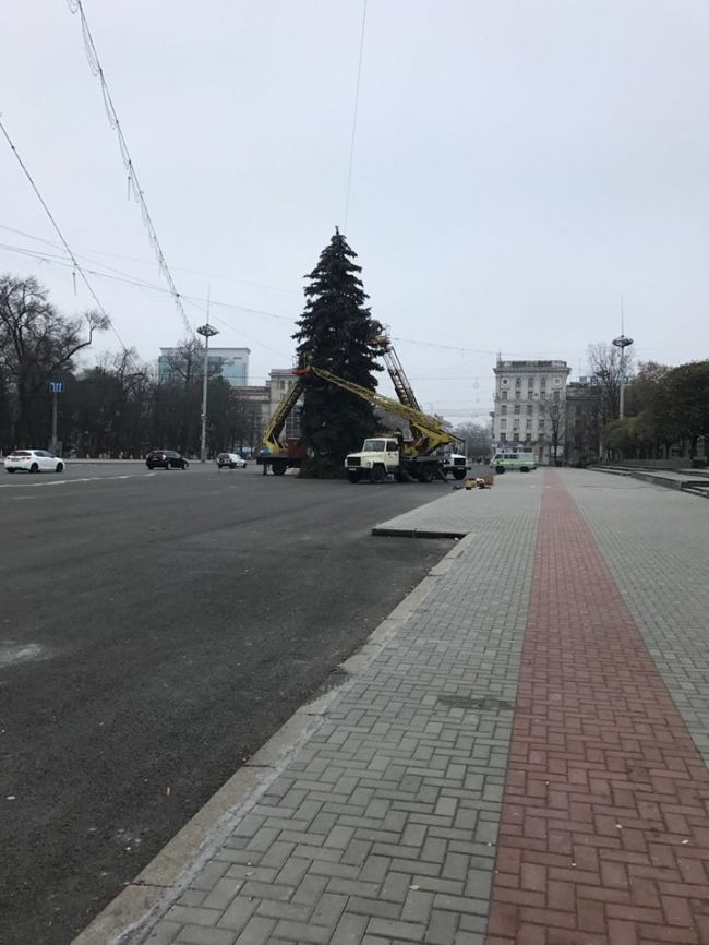В Кишиневе начали украшать главную новогоднюю елку