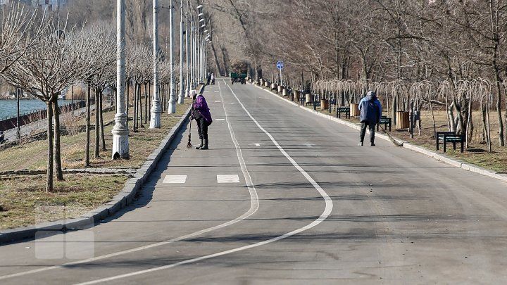 В столице дворники подметают улицы черенками с сухими ветками