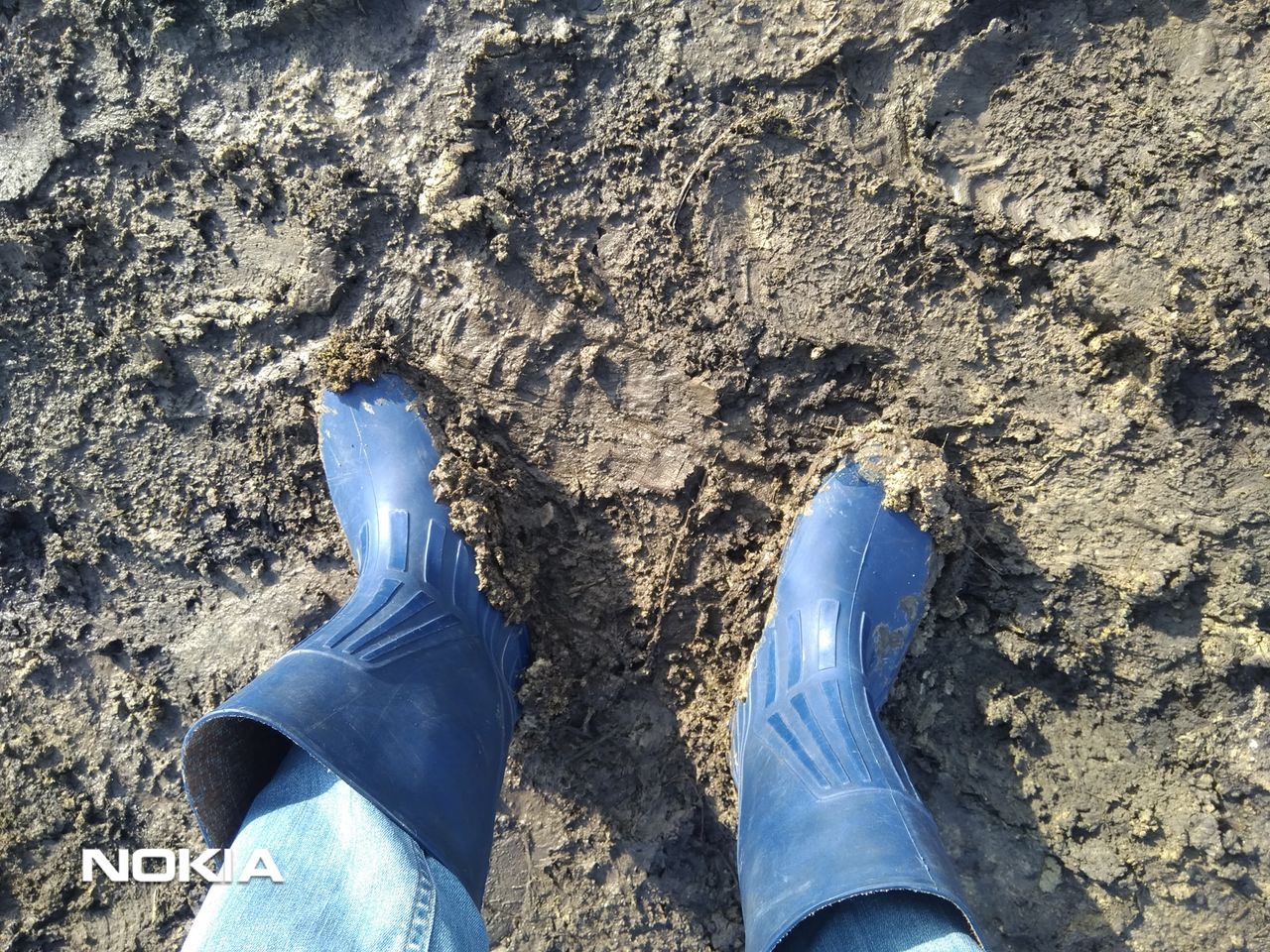 Власти проигнорировали просьбу гражданина, навести порядок на кладбище