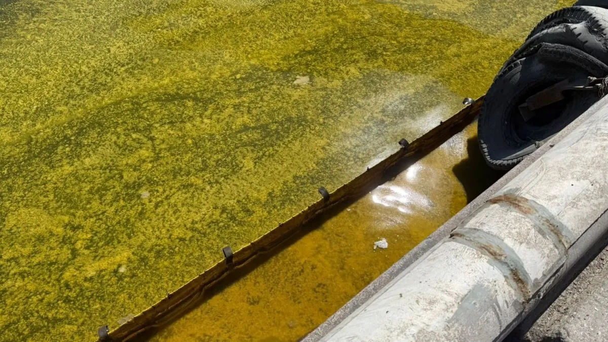 В Чёрное море вылилось шесть тысяч тонн подсолнечного масла после удара по порту