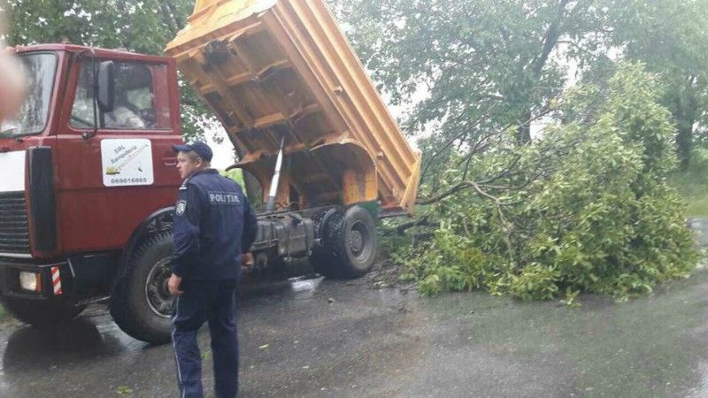 A plouat torențial în mai multe raioane. Copaci doborâţi peste casele şi sate fără lumină