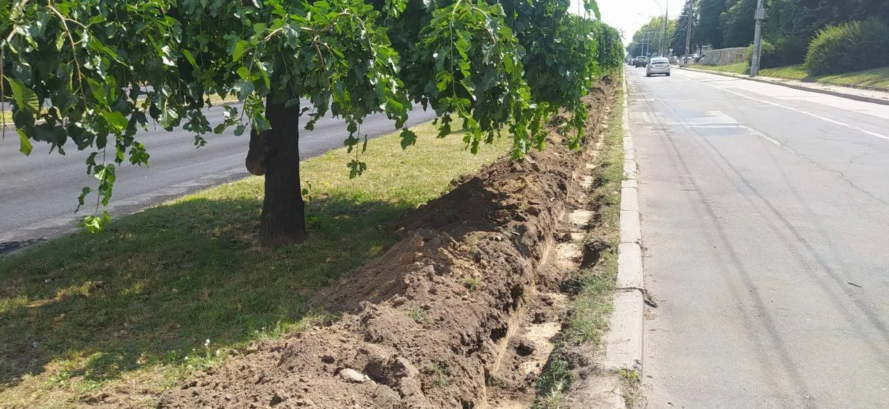 На Ботанике начался монтаж автоматизированной системы полива
