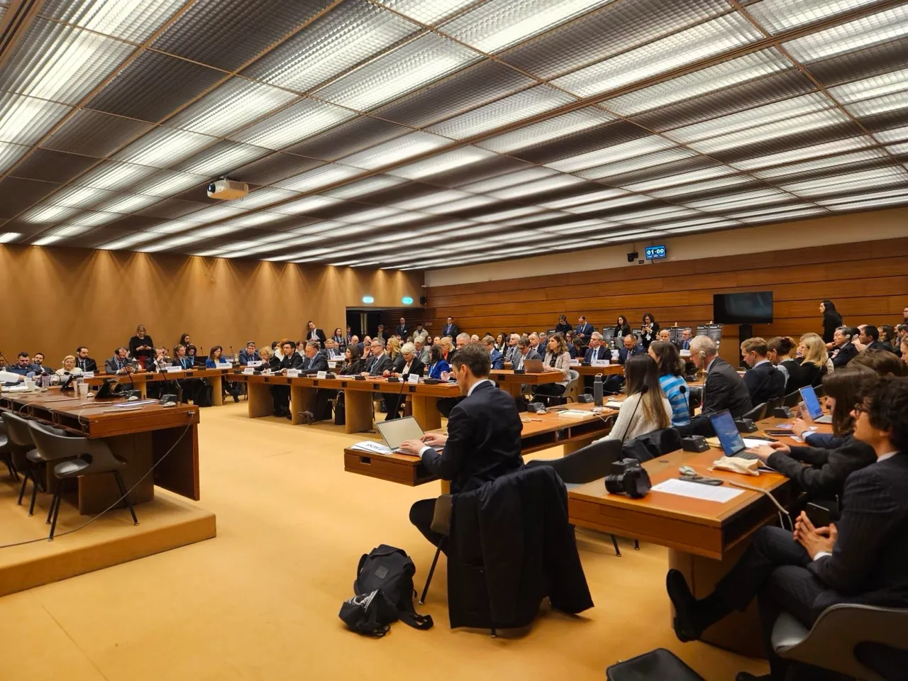 Sesiunea Consiliului ONU pentru Drepturile Omului: Popșoi a reafirmat angajamentul față de apărarea drepturilor omului