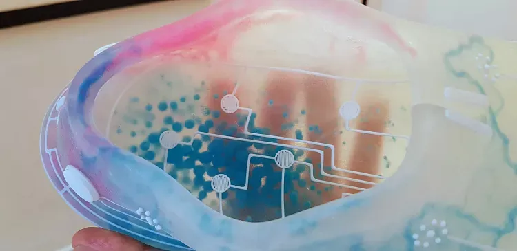 В магазинах могут появиться 3D-кроссовки с искусственным интеллектом