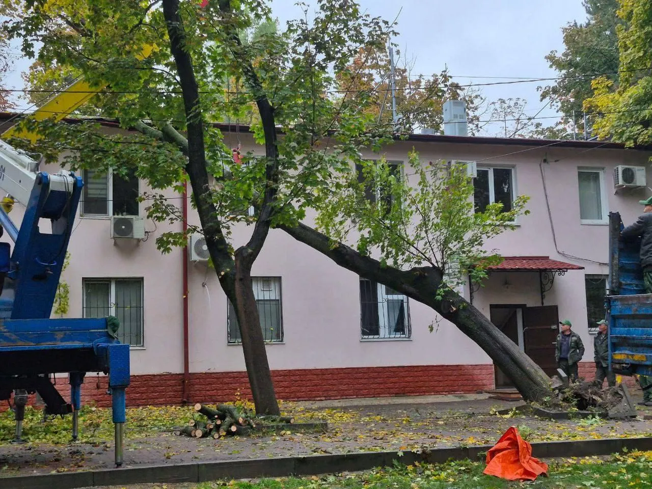 Un copac a căzut pe acoperișul unui bloc de locuit din Capitală