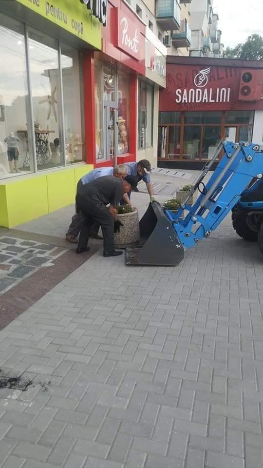 На столичной улице разместили клумбы, чтобы тротуар не блокировали автомобили