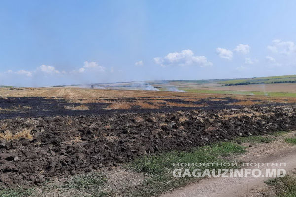 В Ферапонтьевке сгорело поле в несколько гектар