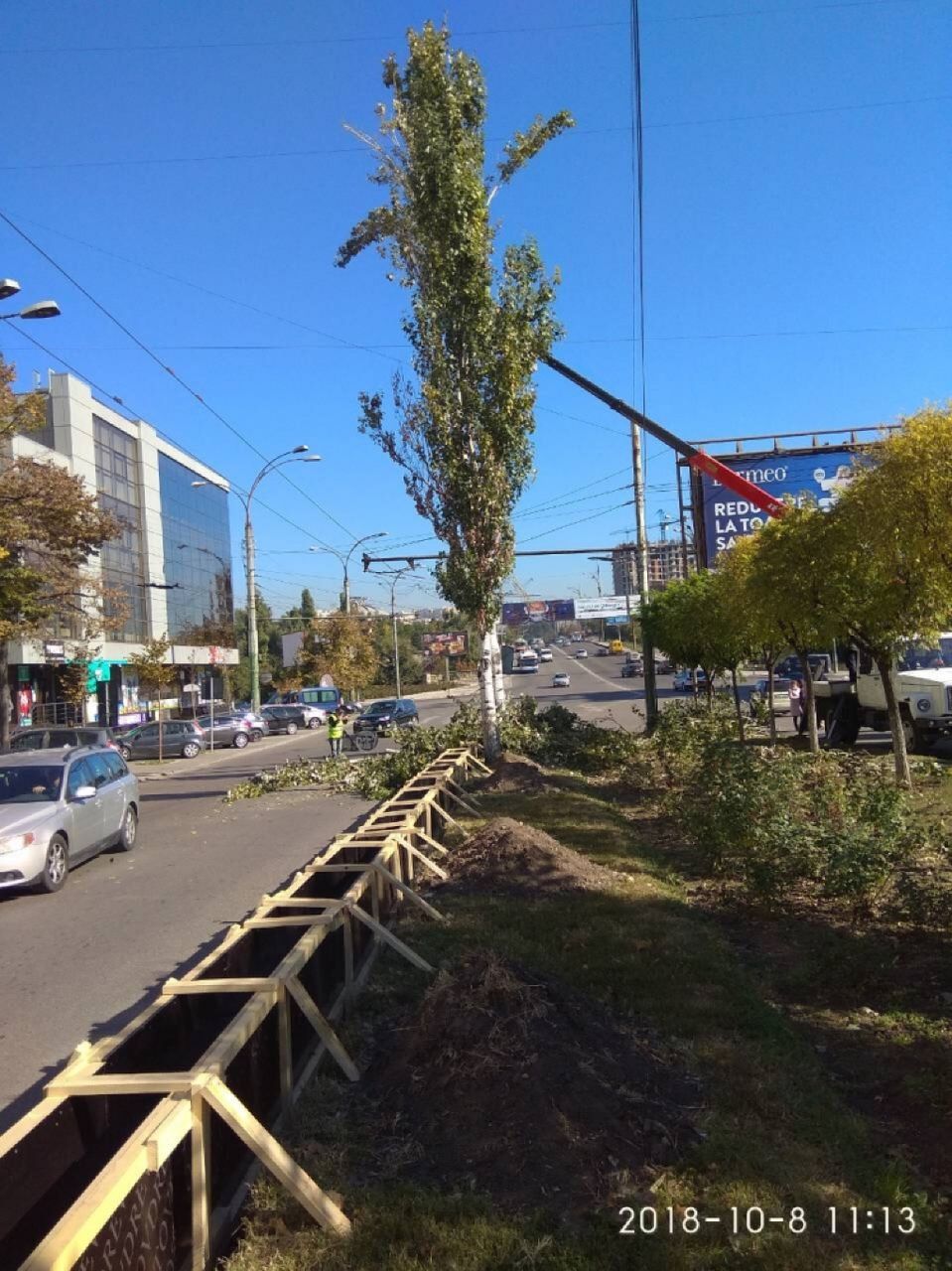 На бульваре Григоре Виеру посадят более 300 деревьев и кустарников