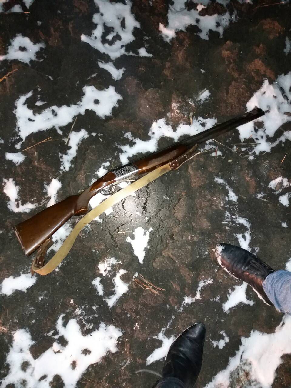 Au împușcat o căprioară și aveau arme fără acte. Braconierii, reținuți