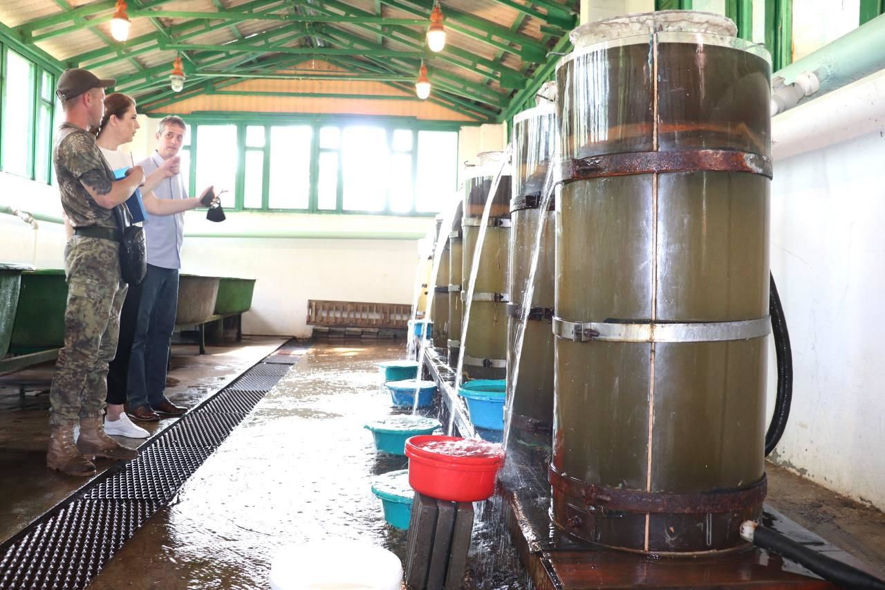 В Кучурганское водохранилище выпустили более 7,8 млн мальков разных видов рыб
