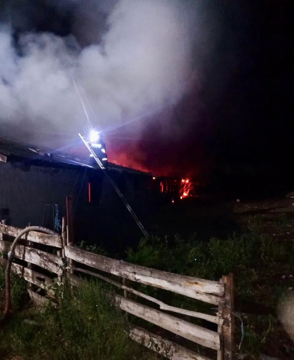Incendiu puternic într-o gospodărie din Râșcani: 300 de animale, salvate de pompieri