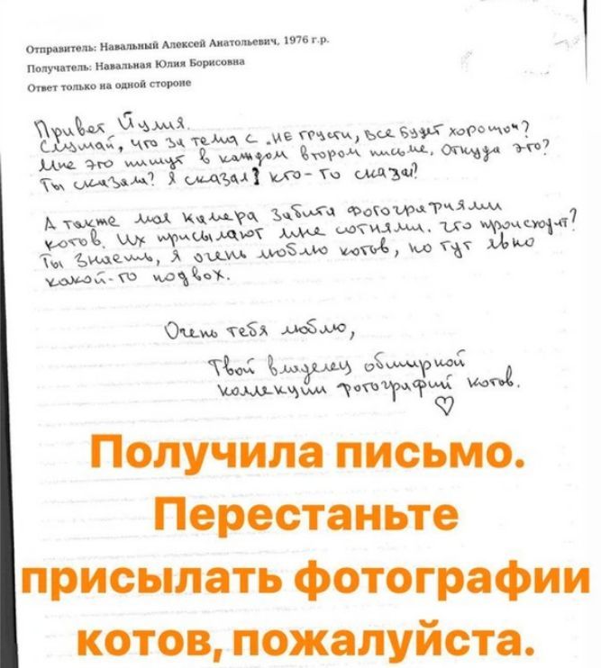 Навальному отправляют много снимков с котами: Моя камера забита фото