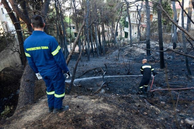 Сгоревшие афинские леса показали с дрона