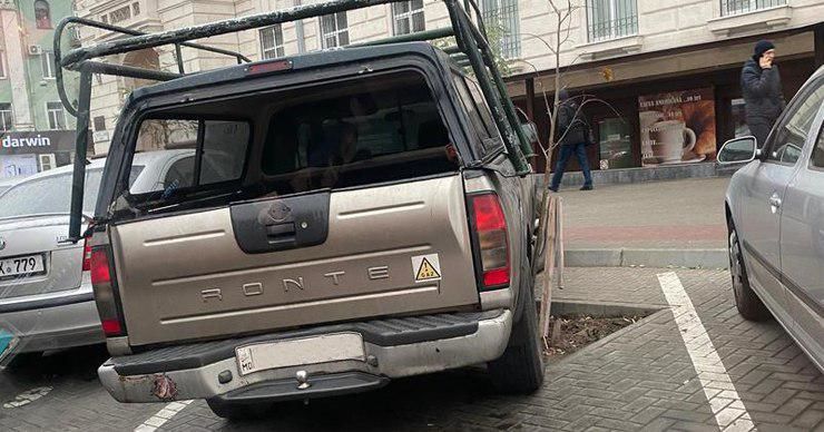 В столице водитель припарковал авто, наехав на молодое дерево