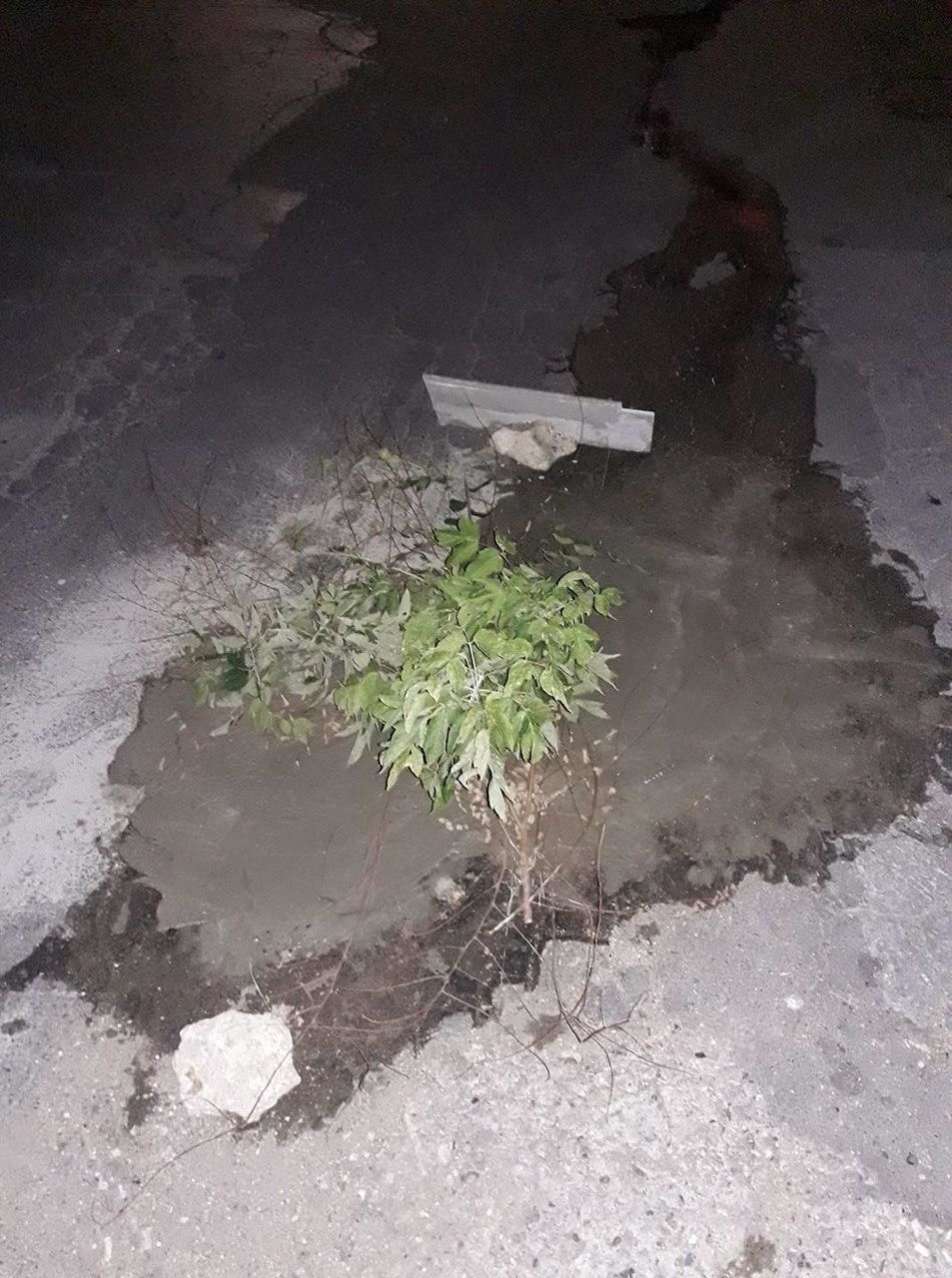 Жители Рышкановки самостоятельно ремонтируют дороги во дворах