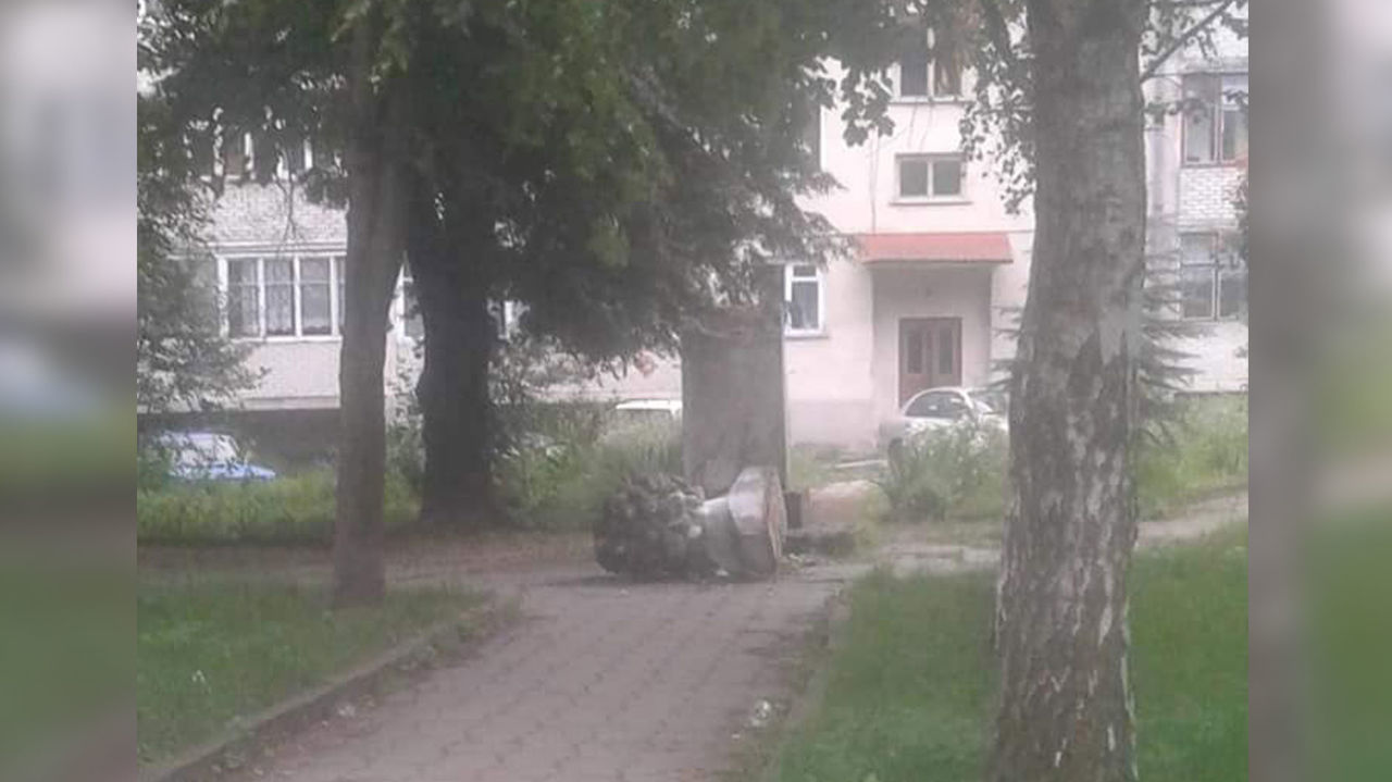 Во Львовской области вандалы разбили памятник Пушкину
