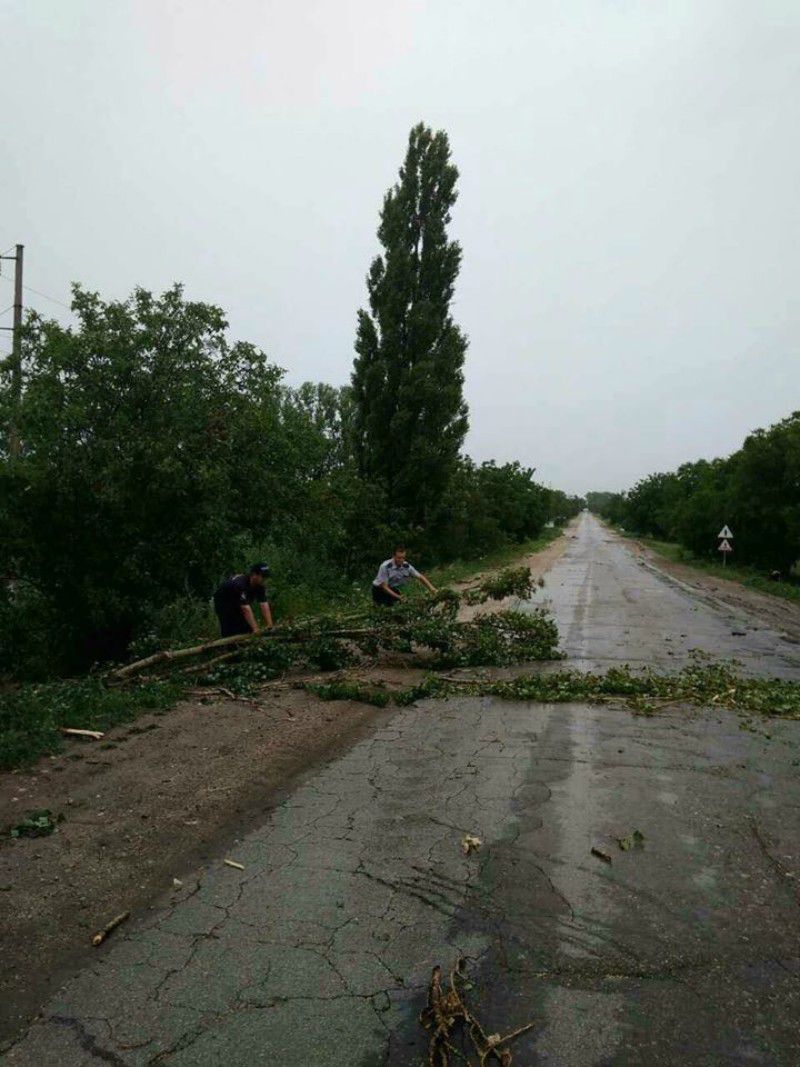 A plouat torențial în mai multe raioane. Copaci doborâţi peste casele şi sate fără lumină