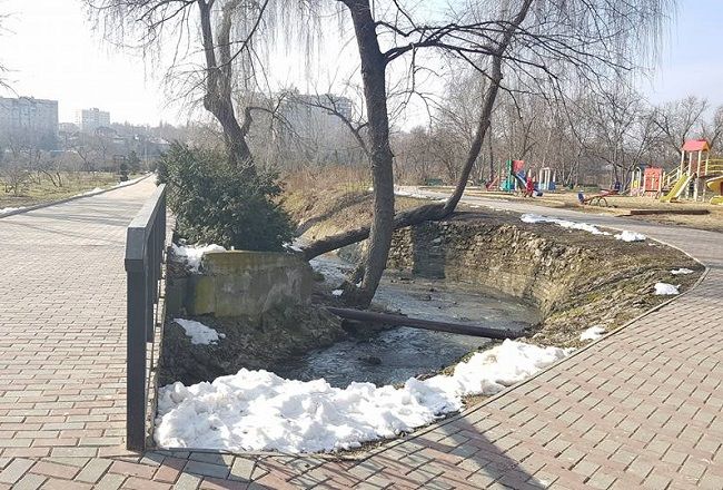 В столичном Дендрарии могут появиться система электронного входа, скейт-парк