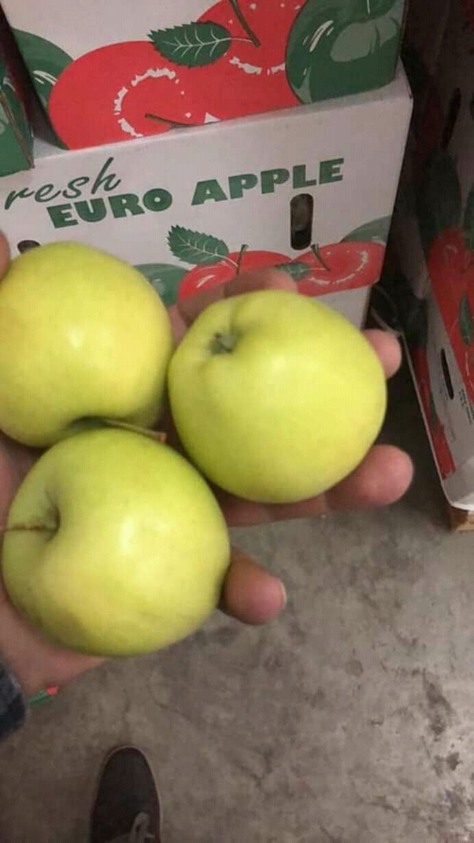 сорта яблок без семян