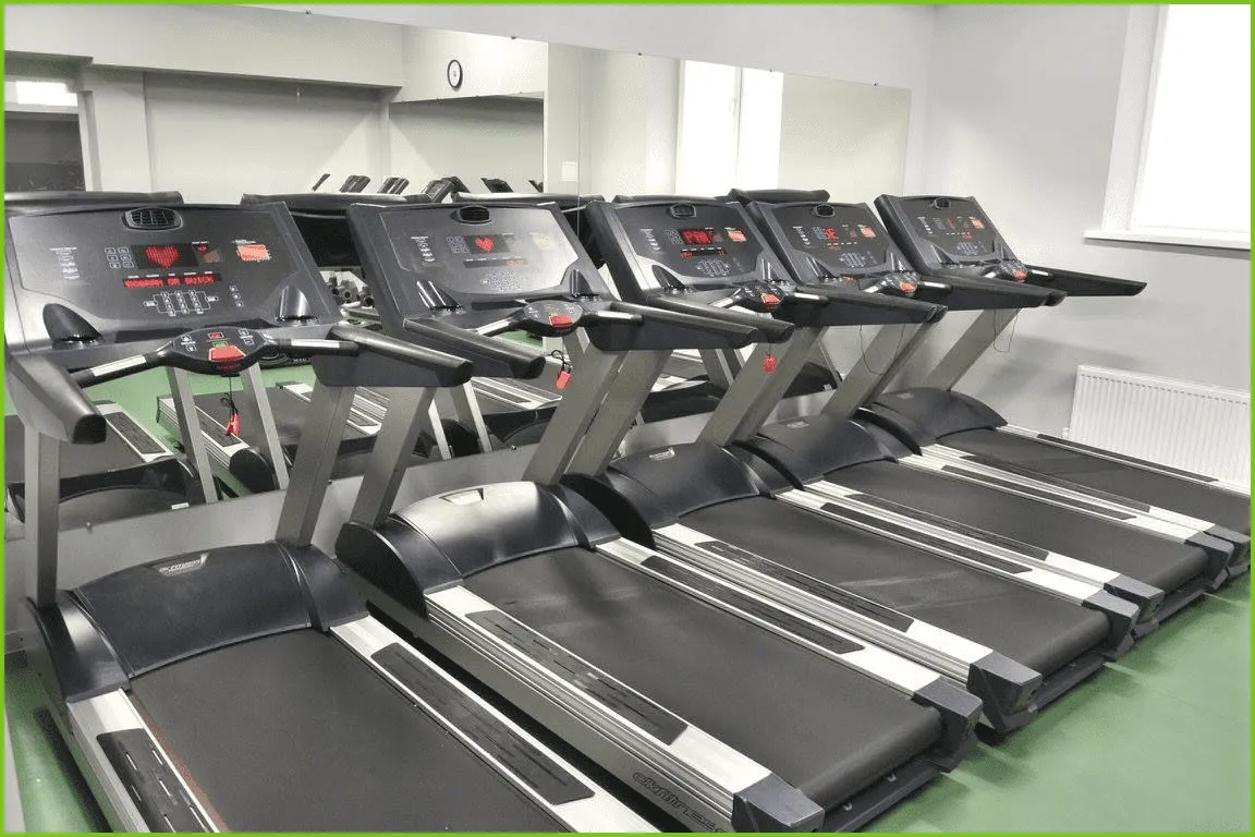 Jungle Fitness