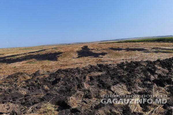 В Ферапонтьевке сгорело поле в несколько гектар