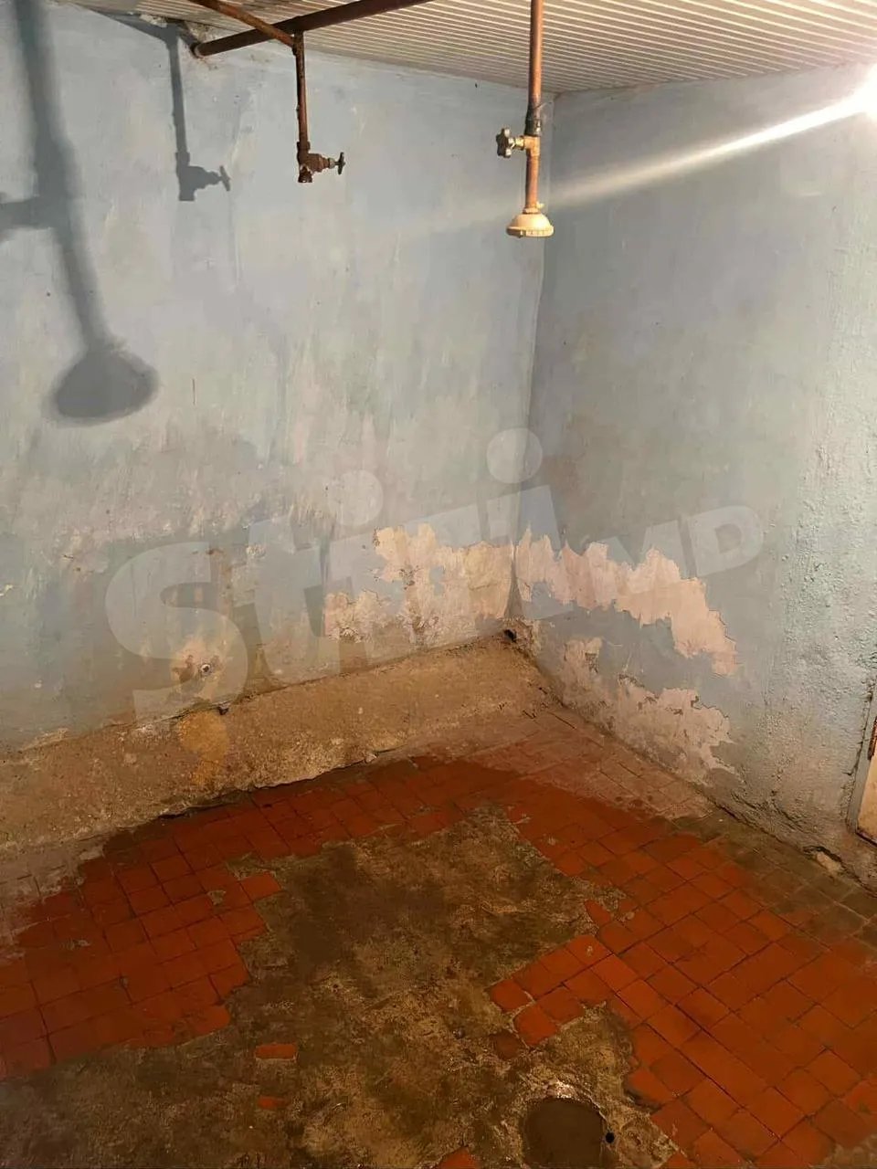 Viitorii biologi se plâng că fac practică în condiții inumane
