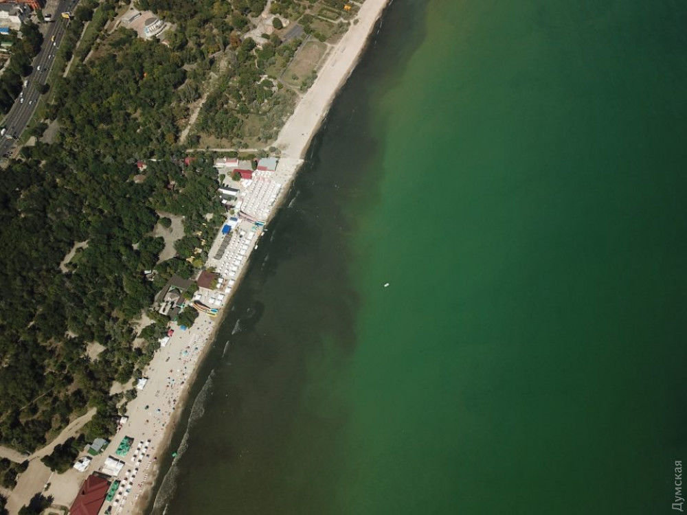 Вода на самом большом естественном пляже Одессы стала черной и дурно пахнет