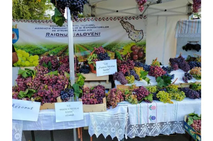 В Чимишлии прошел восьмой Национальный фестиваль винограда