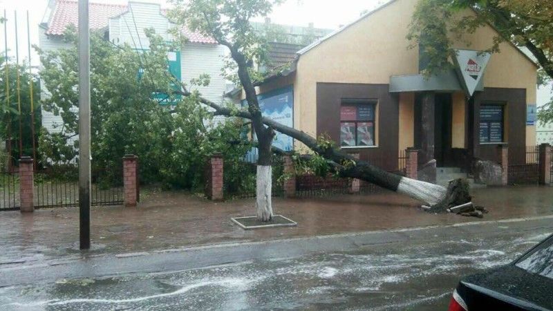 A plouat torențial în mai multe raioane. Copaci doborâţi peste casele şi sate fără lumină