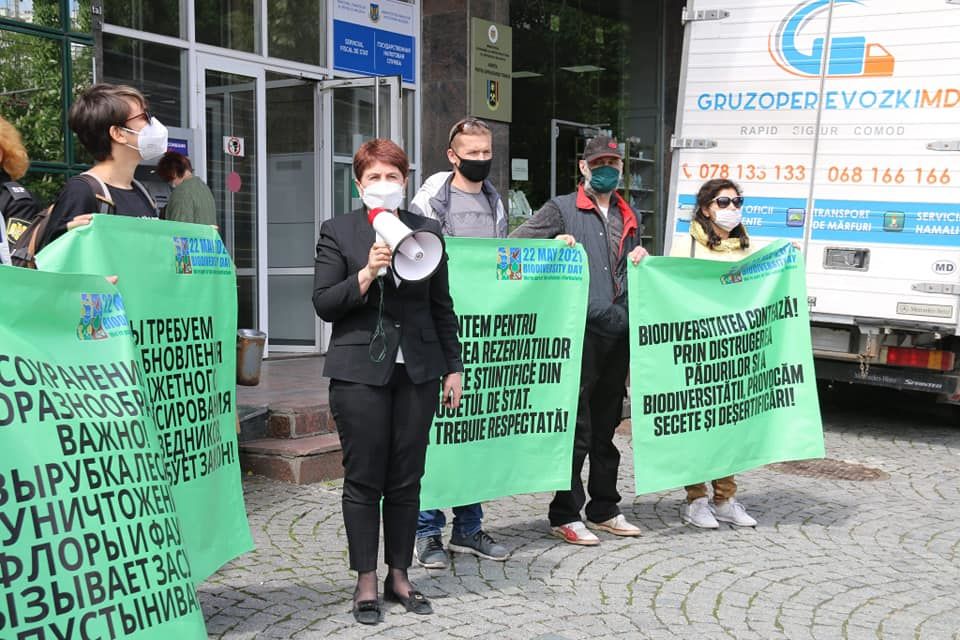 В столице прошел протест против отсутствия финансирования заповедников