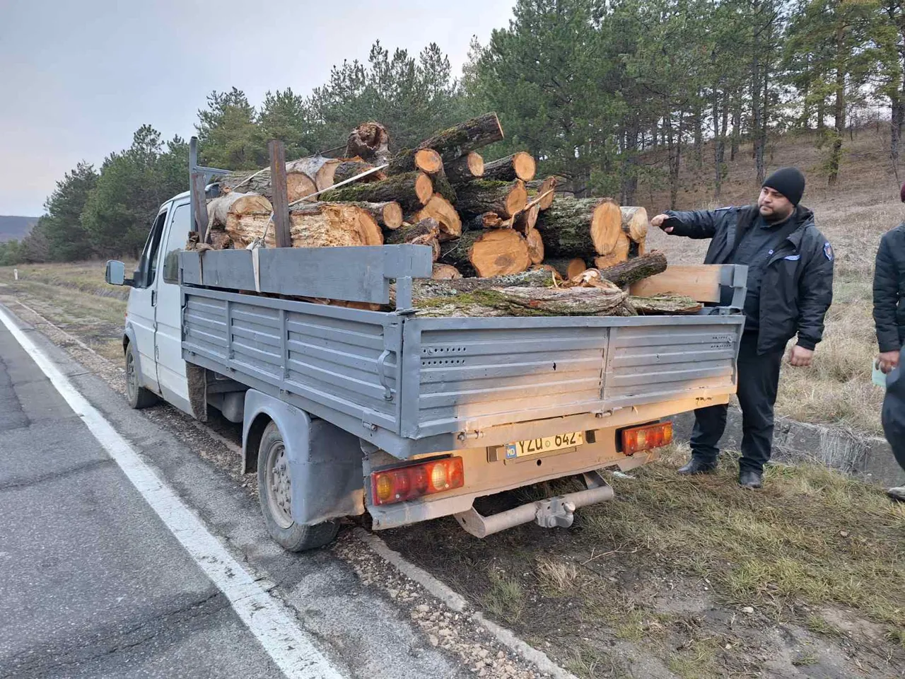 Незаконная вырубка леса в Ниспоренах: нарушителя оштрафовали