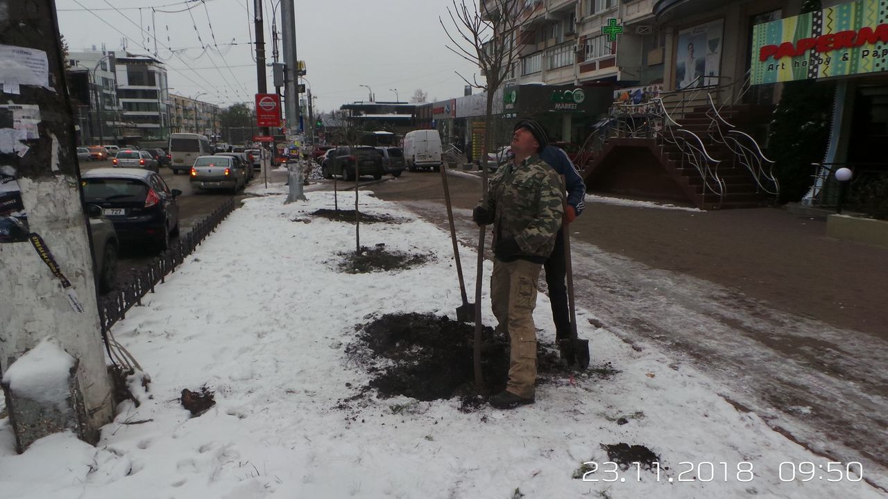 На Рышкановке высадили молодые деревья