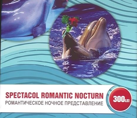 Стали известны цены билетов на шоу в столичном дельфинарии