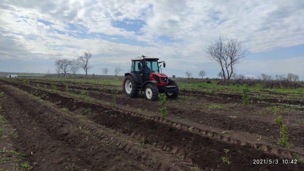 Agrobiznes: Михай Анегроаи - Мы посадили 40 гектаров фундука в экологической конверсии