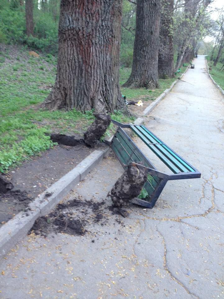 Unii fac, alții distrug. Parcul „Valea Trandafirilor” a fost vandalizat în această noapte